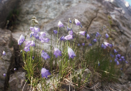 Baker Gulch Trail